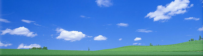 Image of Blue sky and Green field